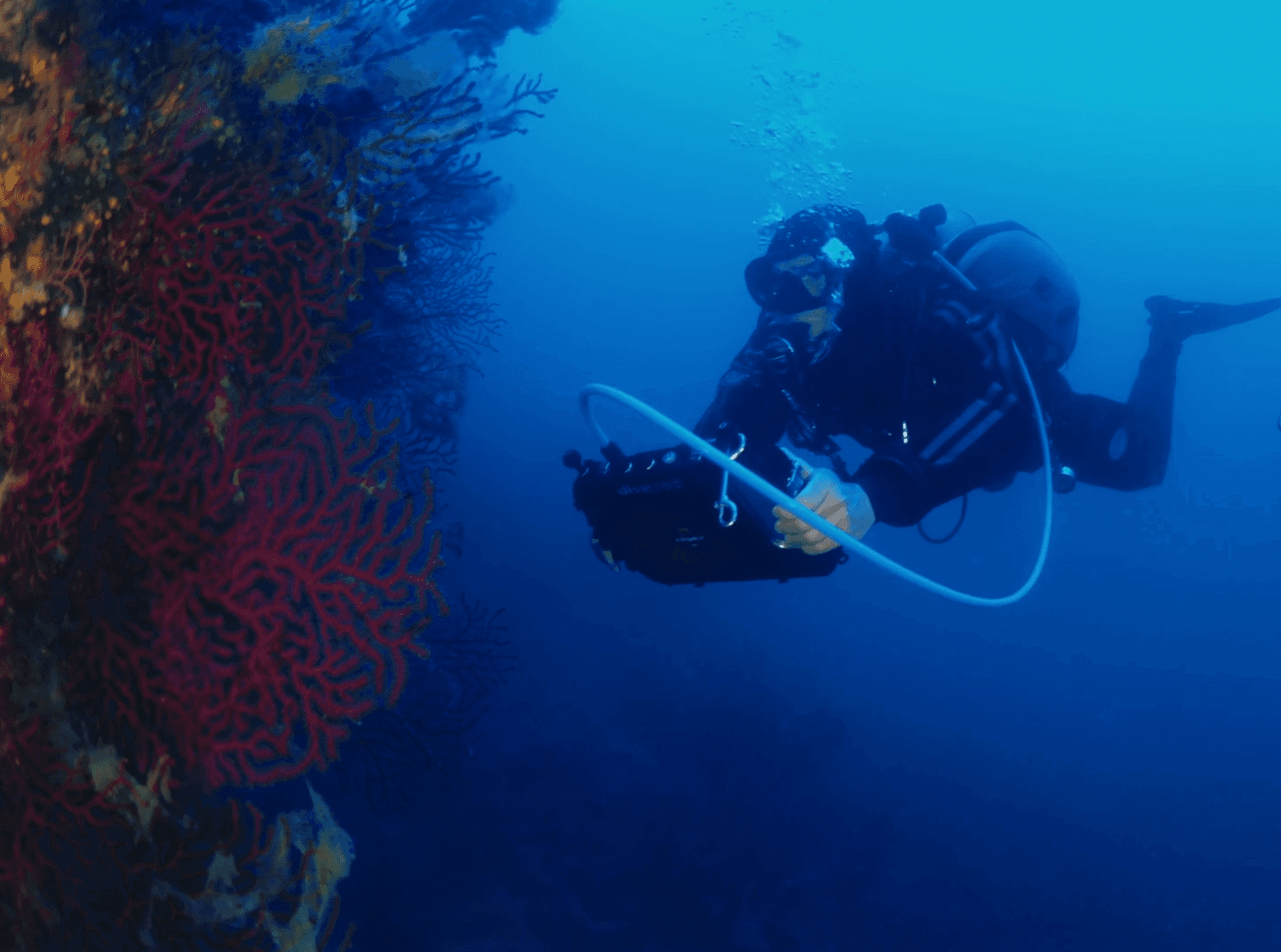 Meet our new investment: italian deep tech Wsense